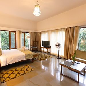 Premium Suite